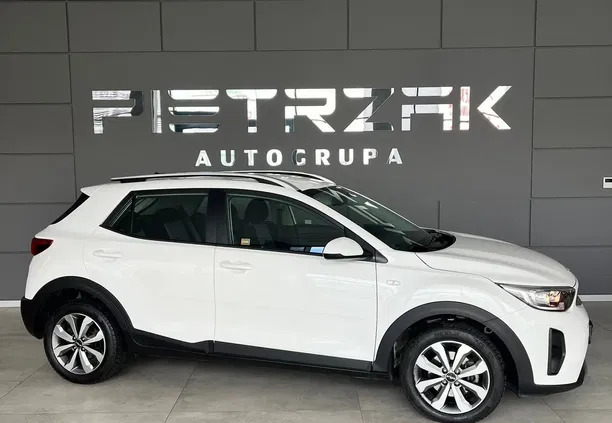 kia wielkopolskie Kia Stonic cena 85900 przebieg: 24453, rok produkcji 2023 z Toruń